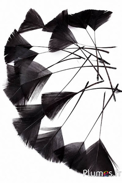 Pétales en plumes - 6-8 x 3-4 cm - café